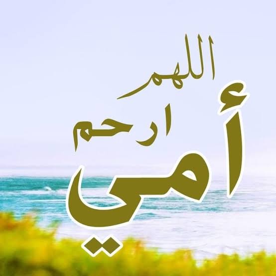 حمدي الشيمي
